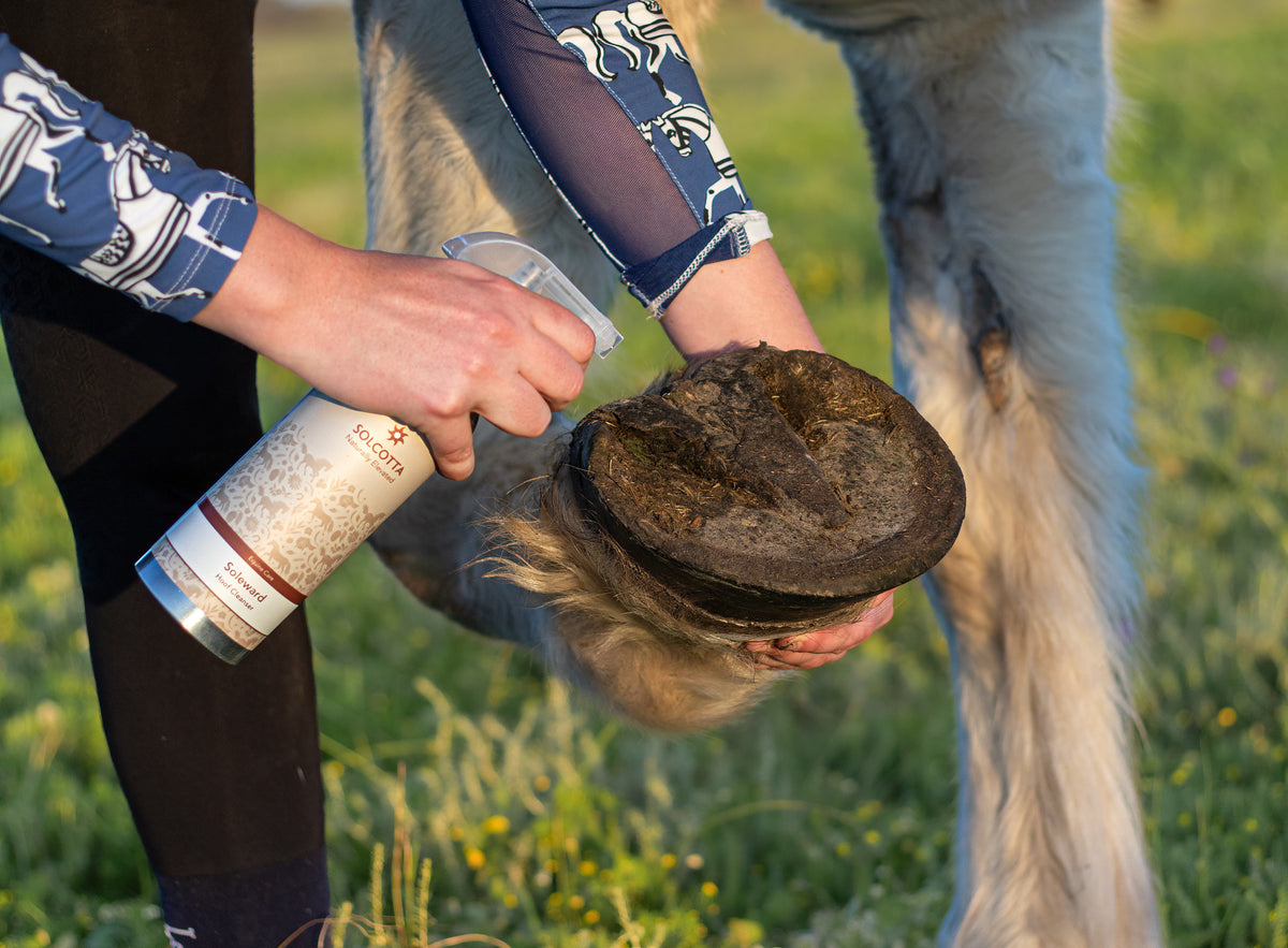 Soleward Hoof Cleanser with 'Keep Me Bottle'