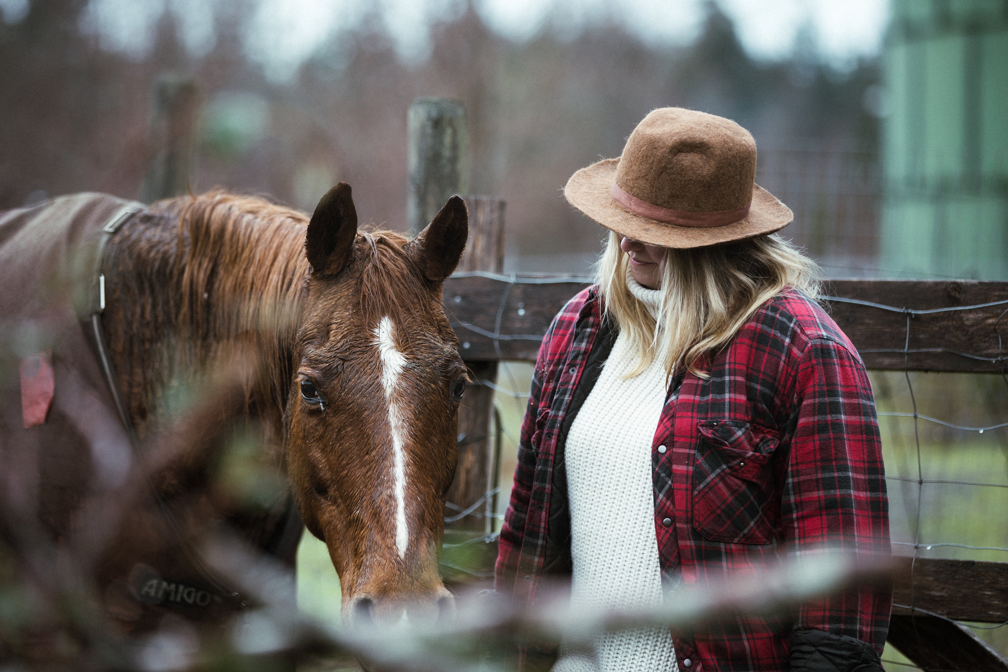 Equestrian Products South Africa